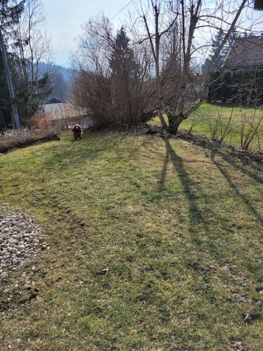 לה רוס Appartement Le Flocon, Joli Petit Cocon 4 Pers En Rez De Jardin Draps Inclus מראה חיצוני תמונה